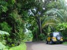 Pi'ilani Hwy.